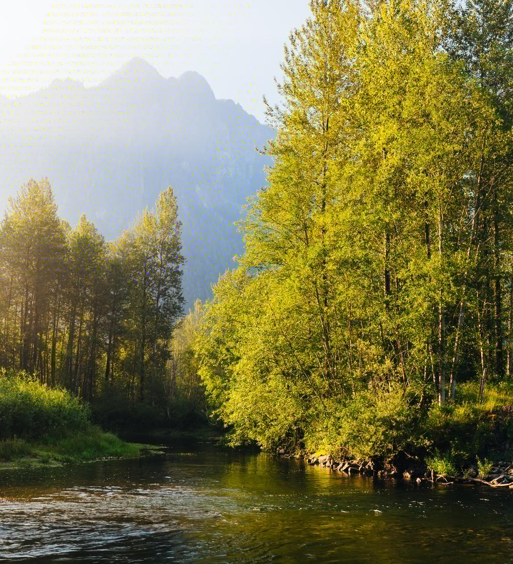 Background for Live like Jesus - by grace