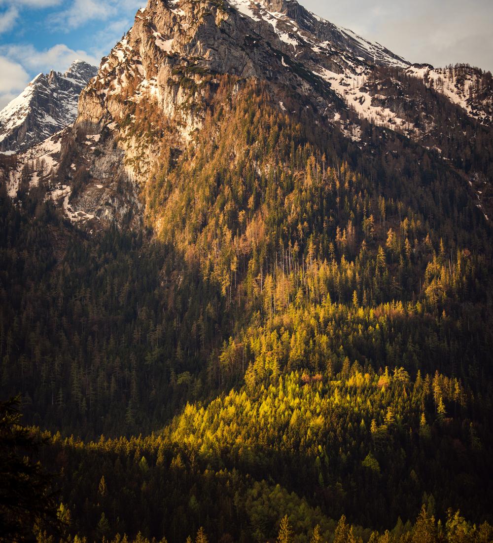 Background for No Alternative to Faith