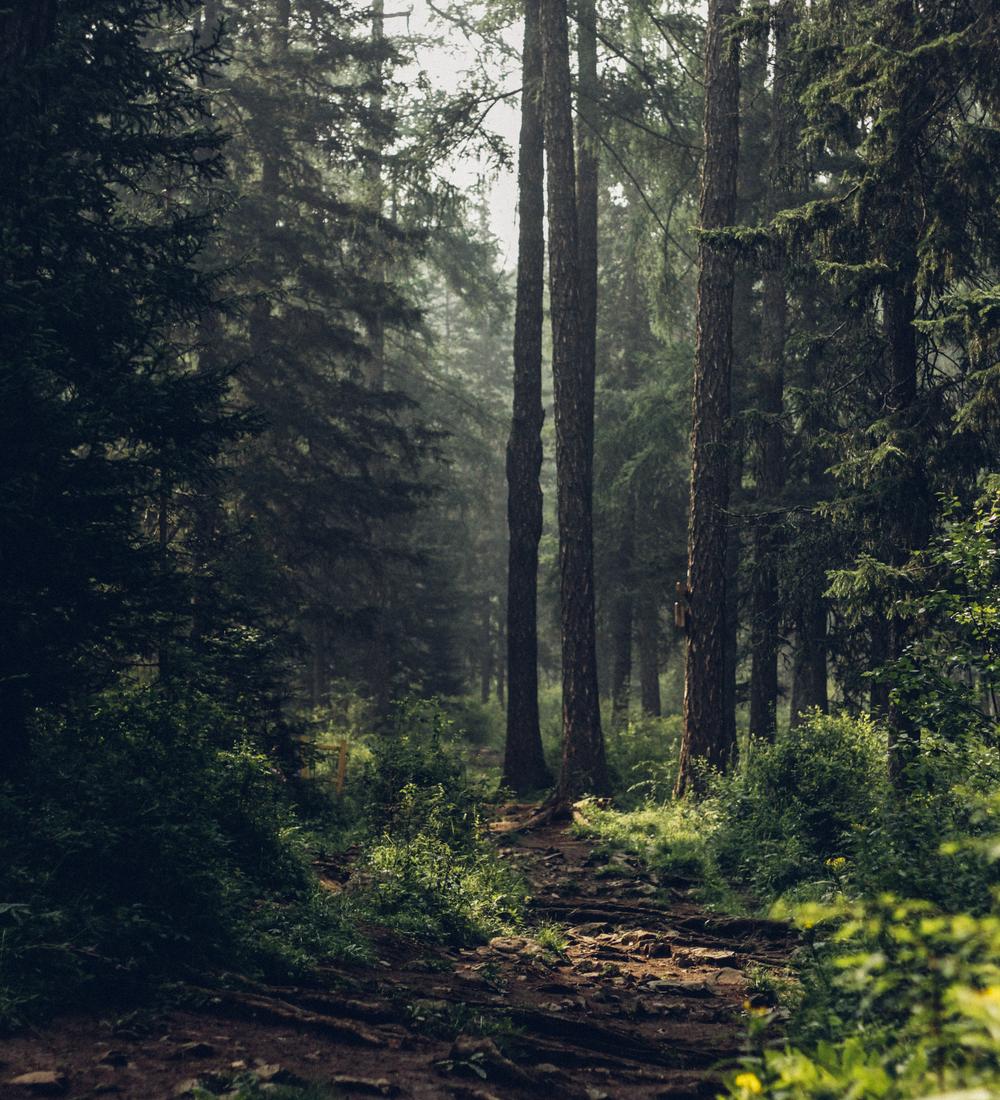 Background for The Basic Sin: Unbelief