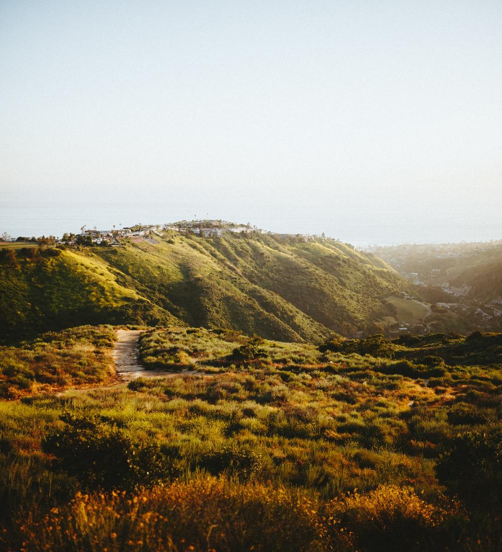 Background for Go forward!