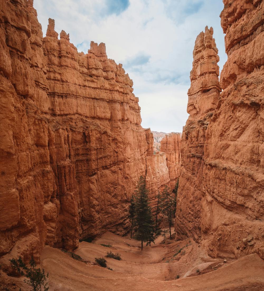 Background for The Secret Of Biblical Faith