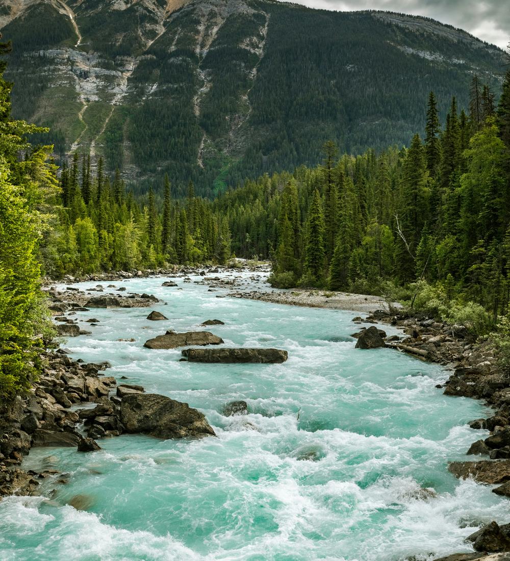 Background for Keep Your Heart With All Diligence