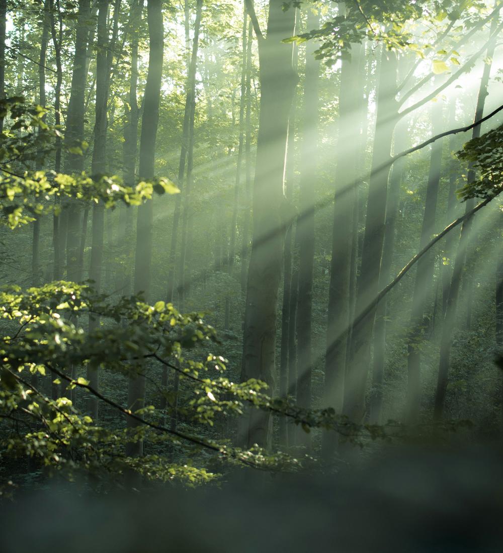 Background for Applying The Promises Of God’s Word In Faith