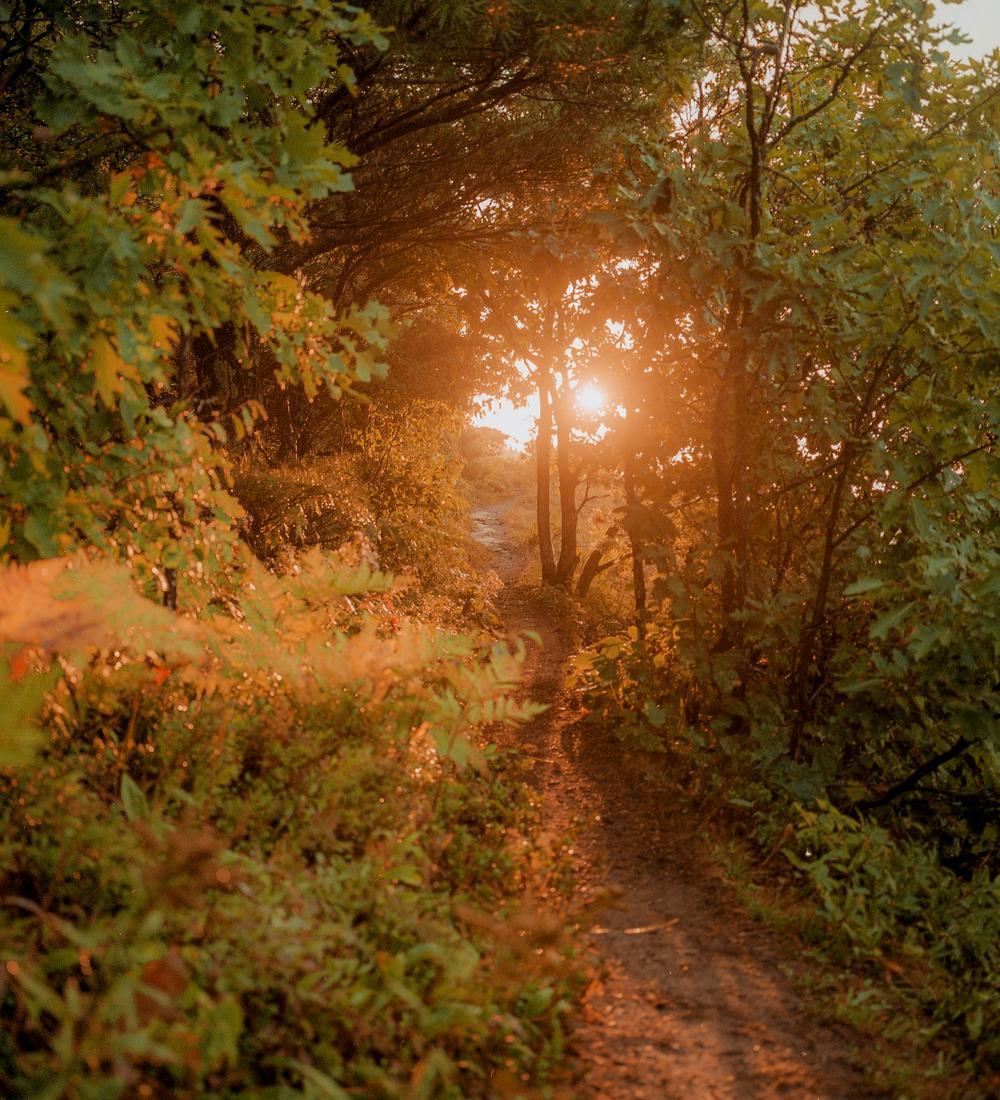 Background for Seeking God’s Guidance In Faith In The Simple Things