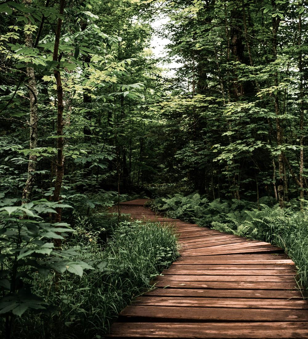 Background for Acknowledging Of Our Faith