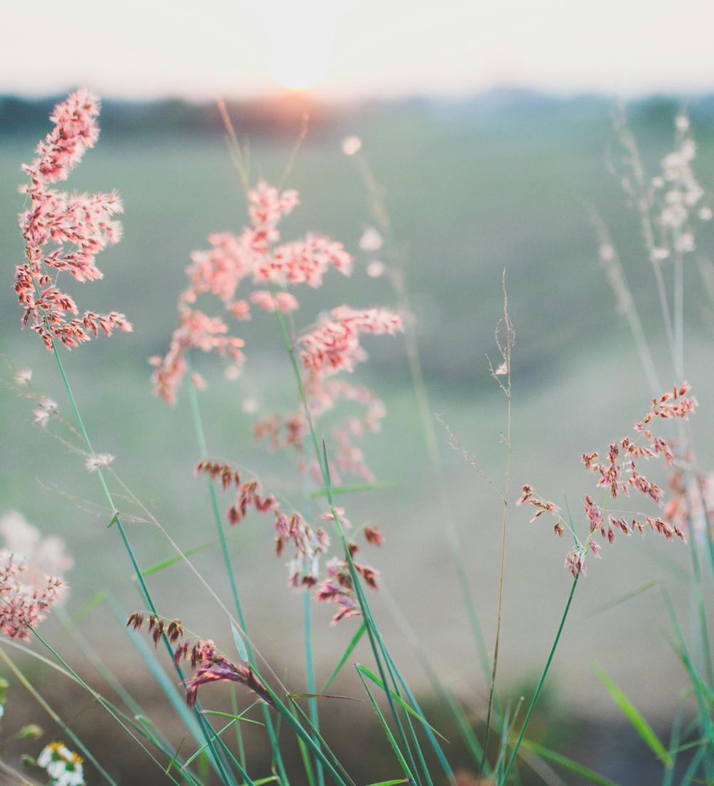 Background for We Receive A Gift By Faith