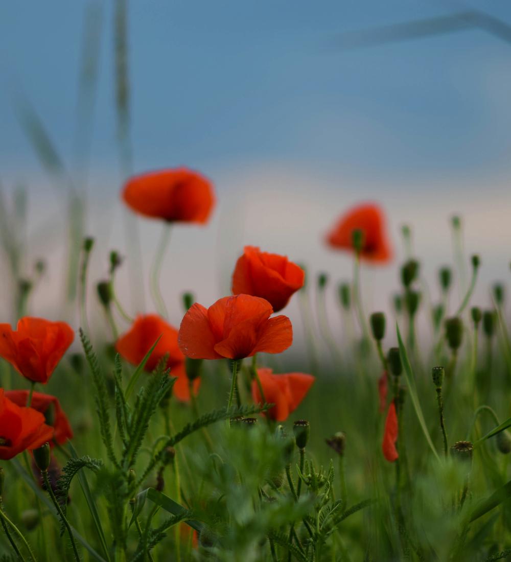 Background for The Right Place And The Right Time