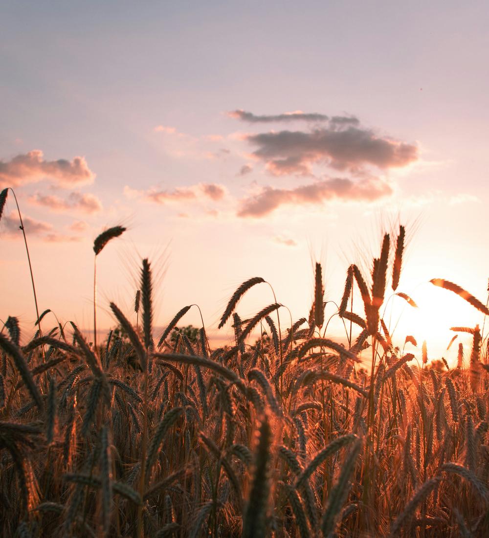 Background for The Nature Of God’s Love