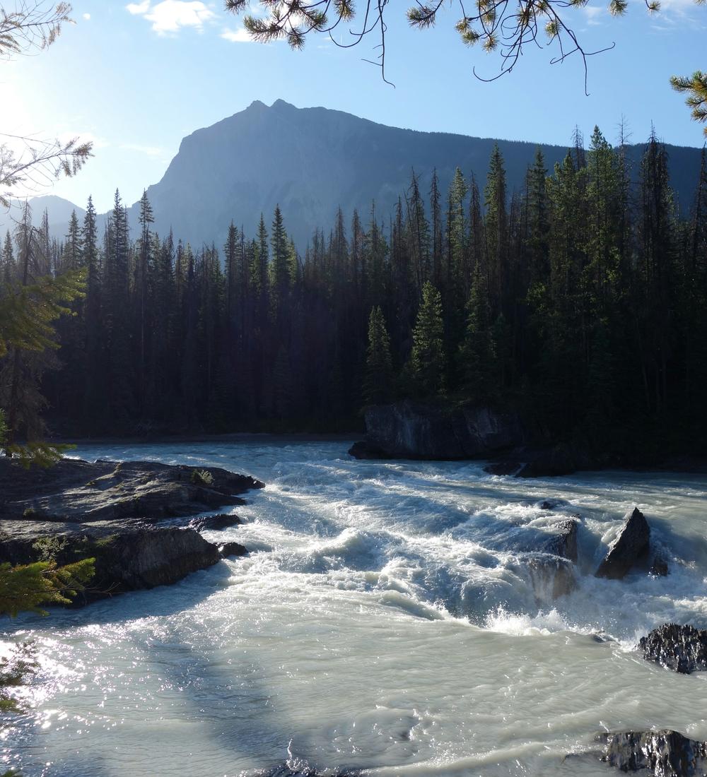 Background for Rivers Of Living Water