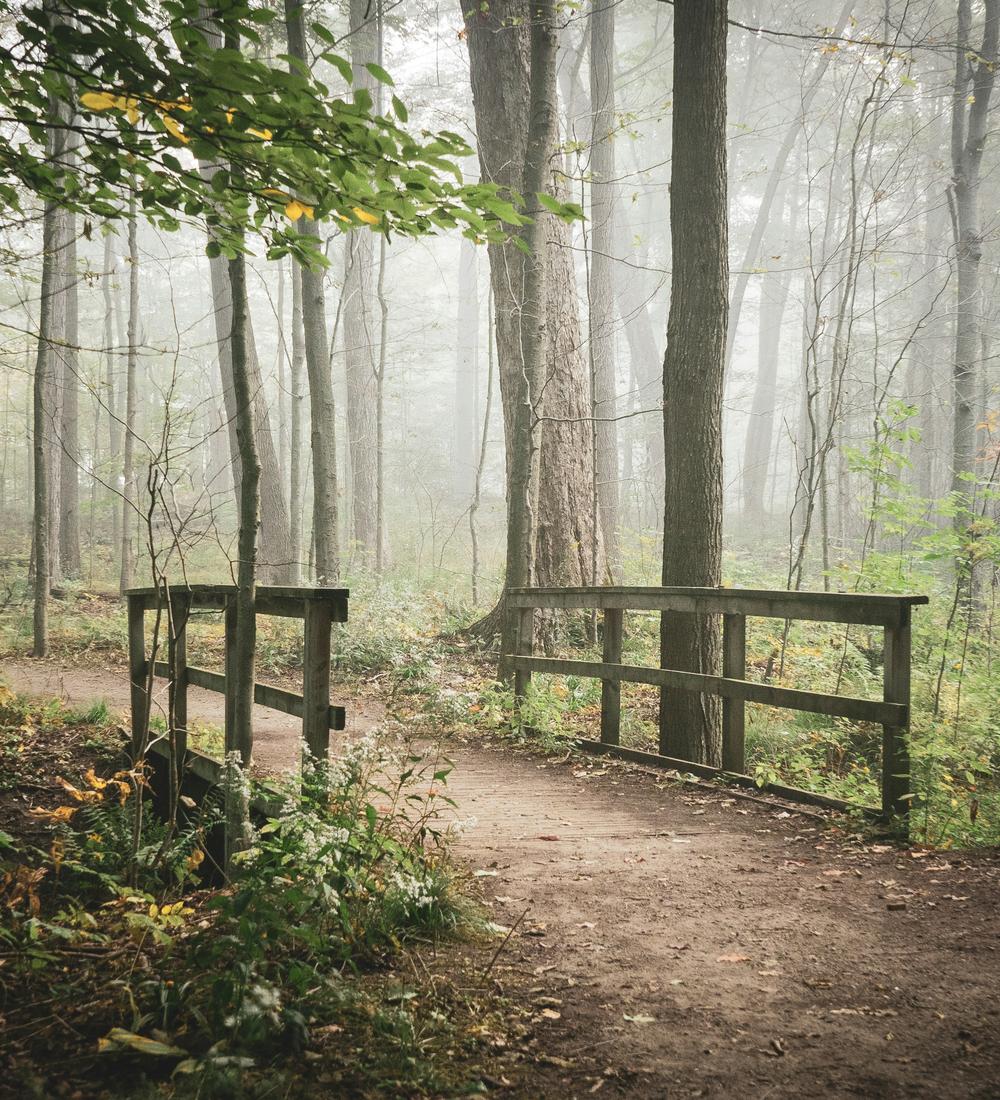 Background for Spiritual Gifts Are For The Whole Congregation
