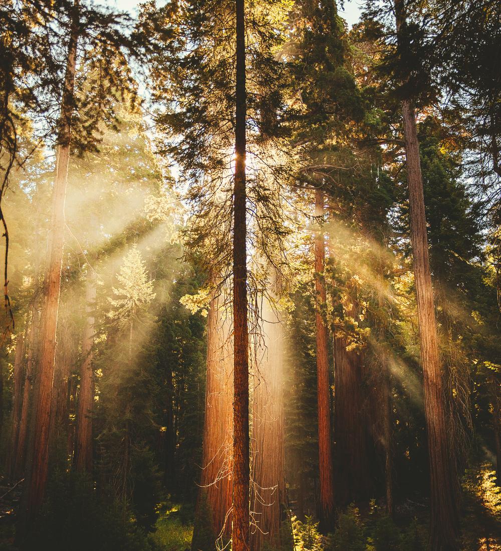 Background for Acknowledging That God Sends Out Someone For A Specific Task