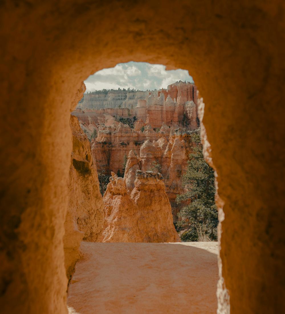 Background for The Saints Of The Old Testament Will Precede Us