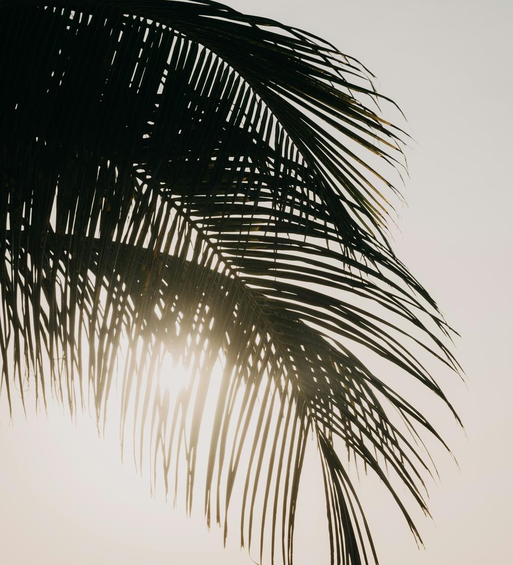 Background for The Key to Living Victoriously