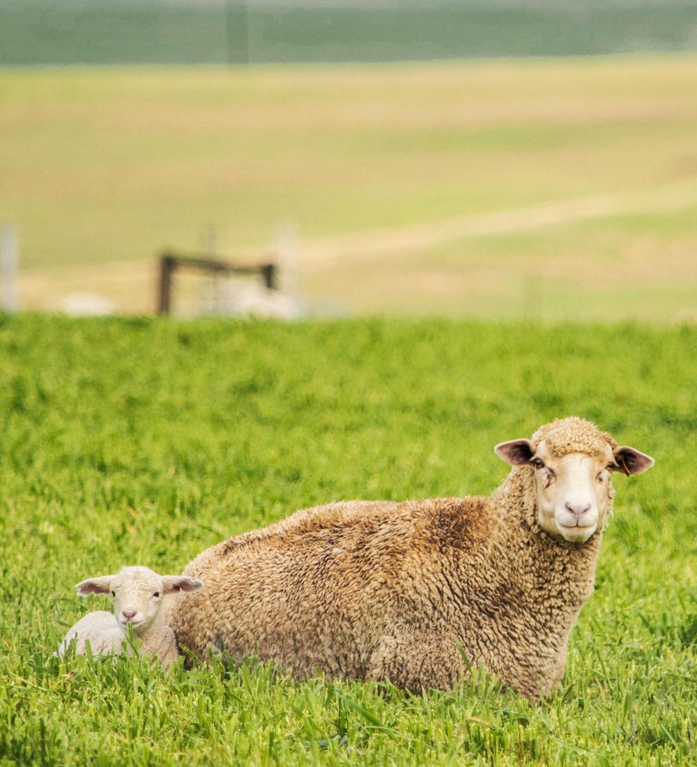 Background for 5 (5 January)