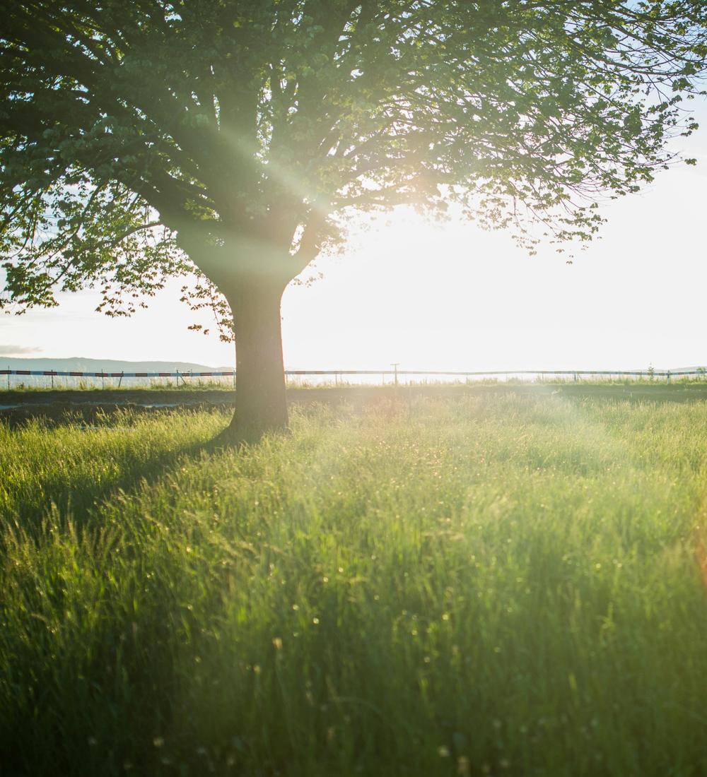 Background for 11 (11 January)