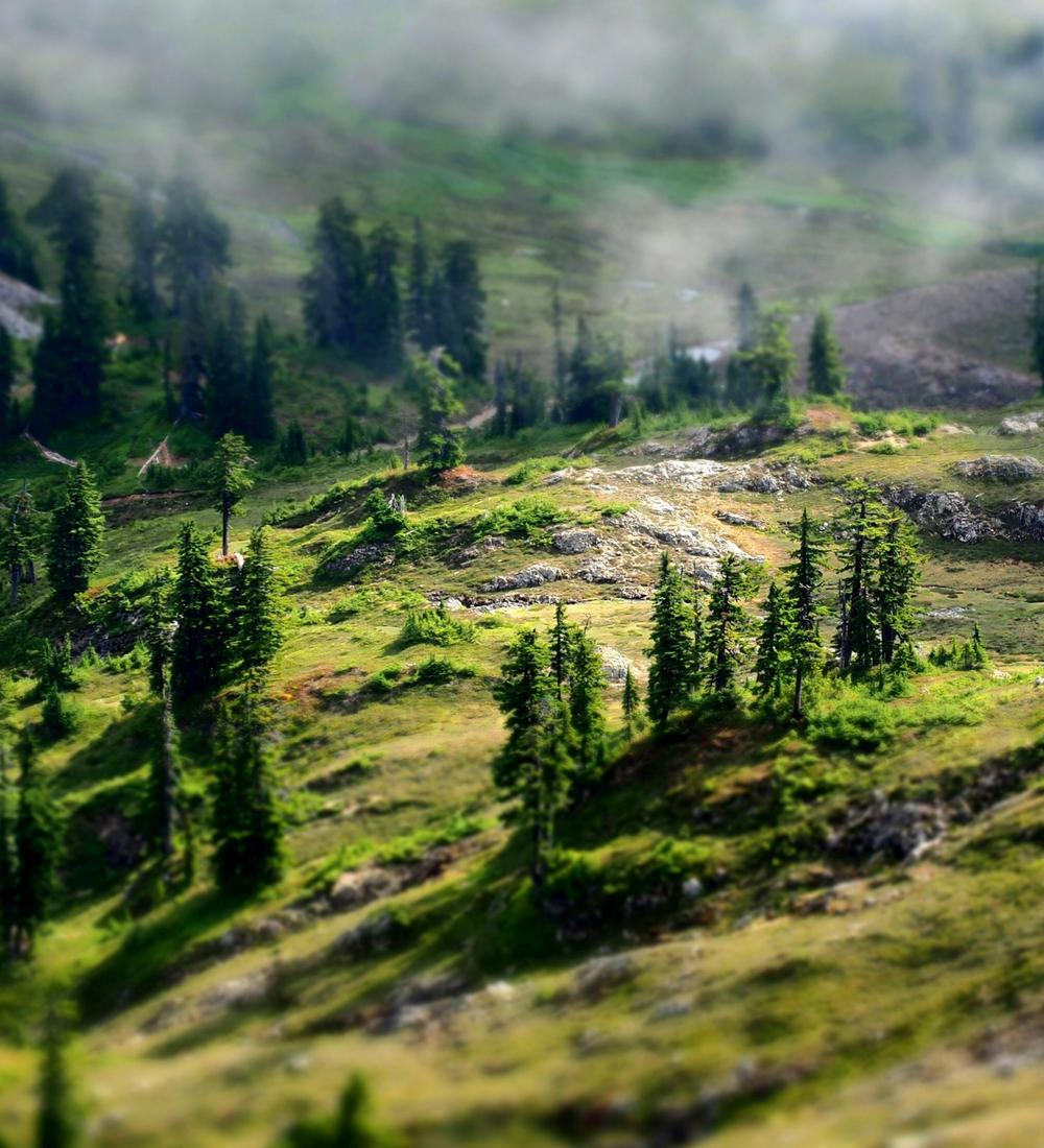 Background for 14 (14 January)