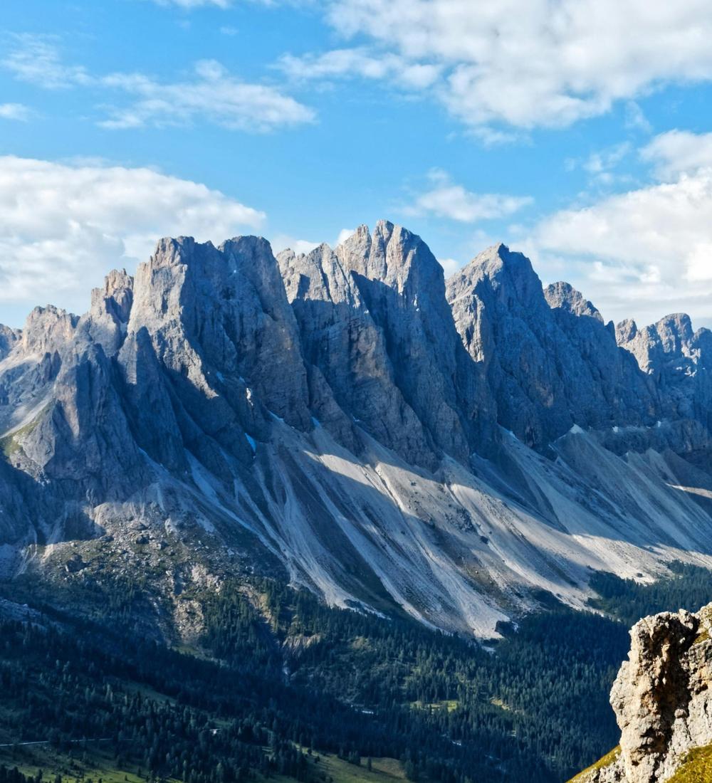 Background for 16 (16 January)