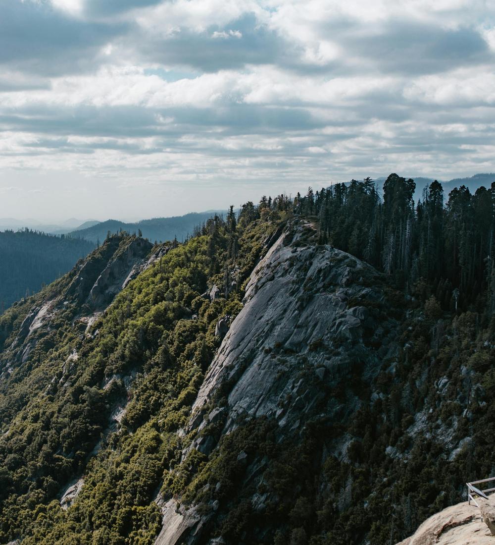 Background for 18 (18 January)