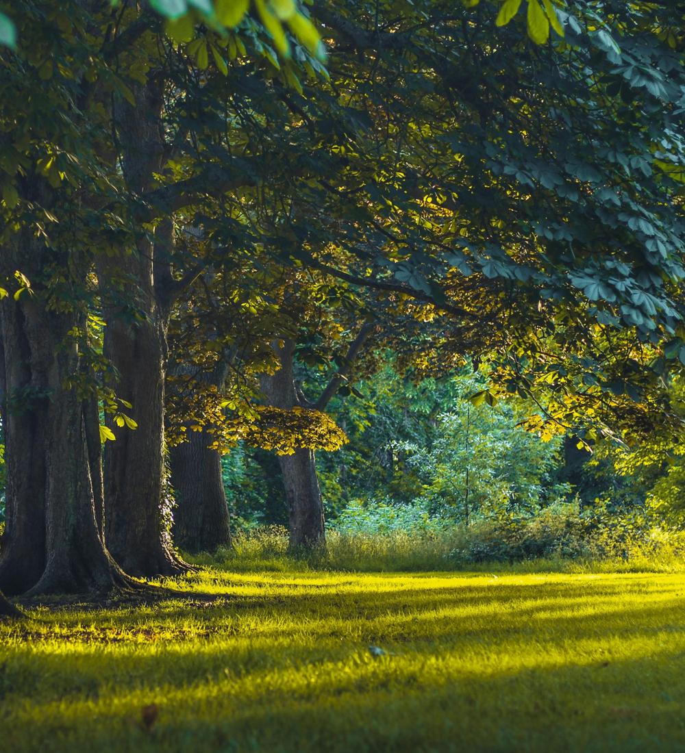 Background for 19 (19 January)