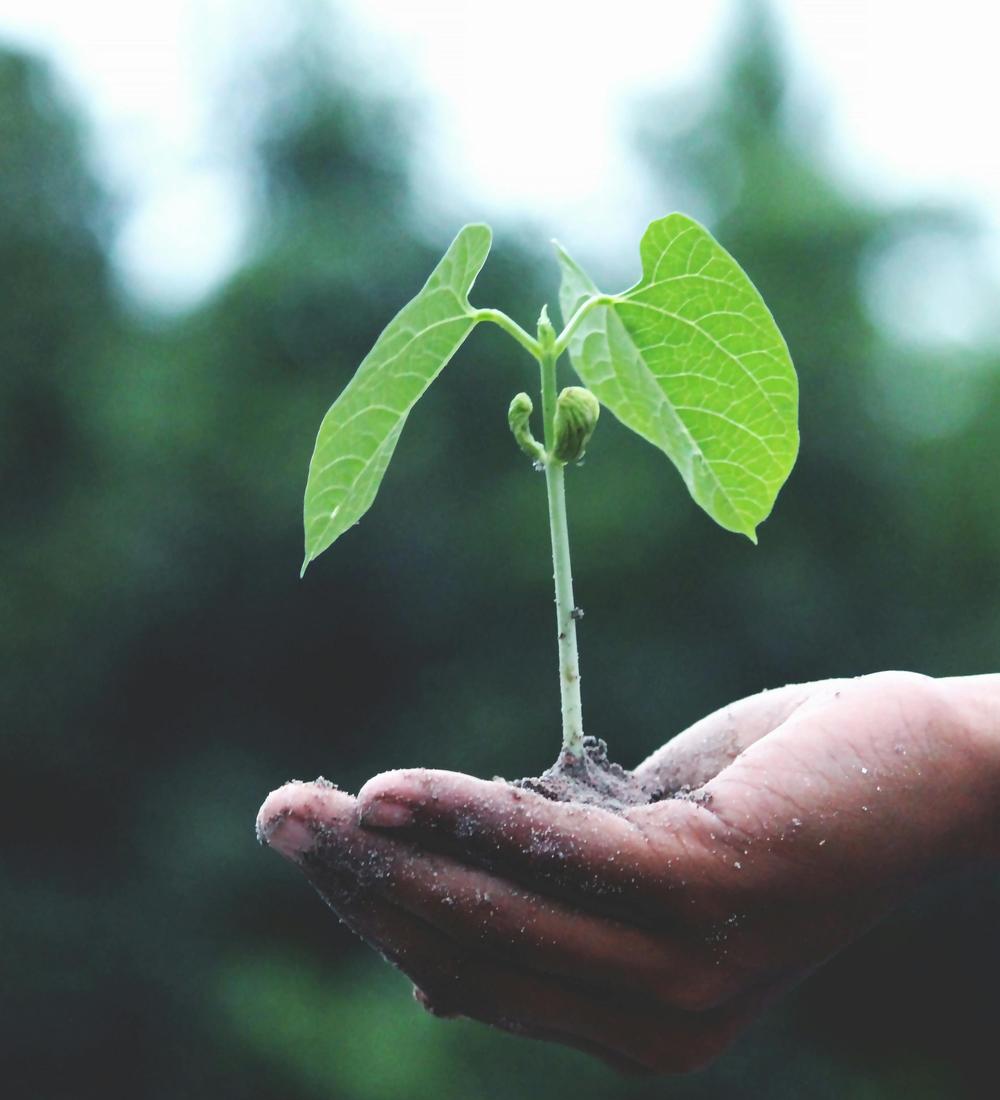 Background for 22 (22 January)