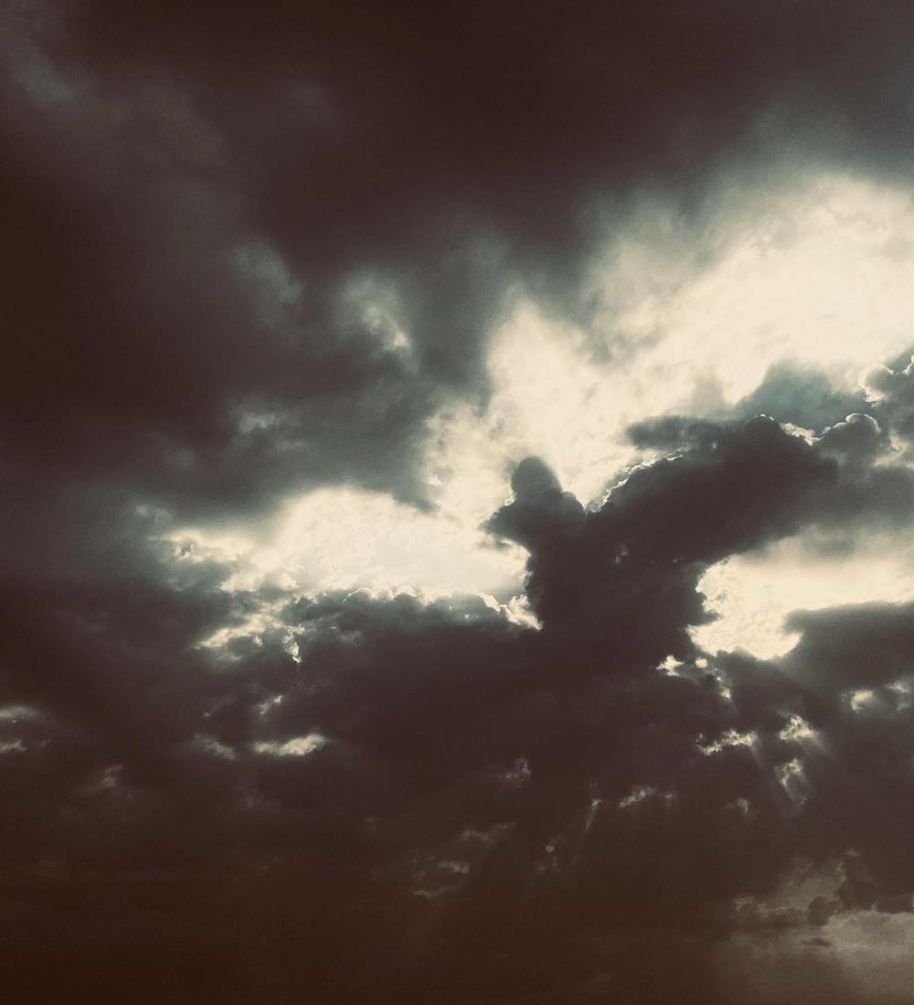 Background for 25 (25 January)