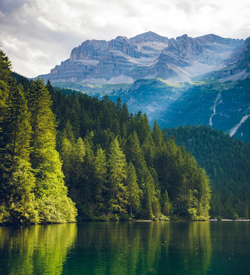 Background for 34 (3 February)