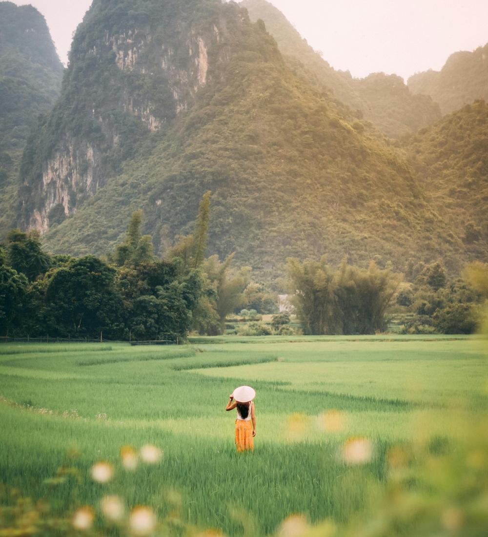 Background for 35 (4 February)