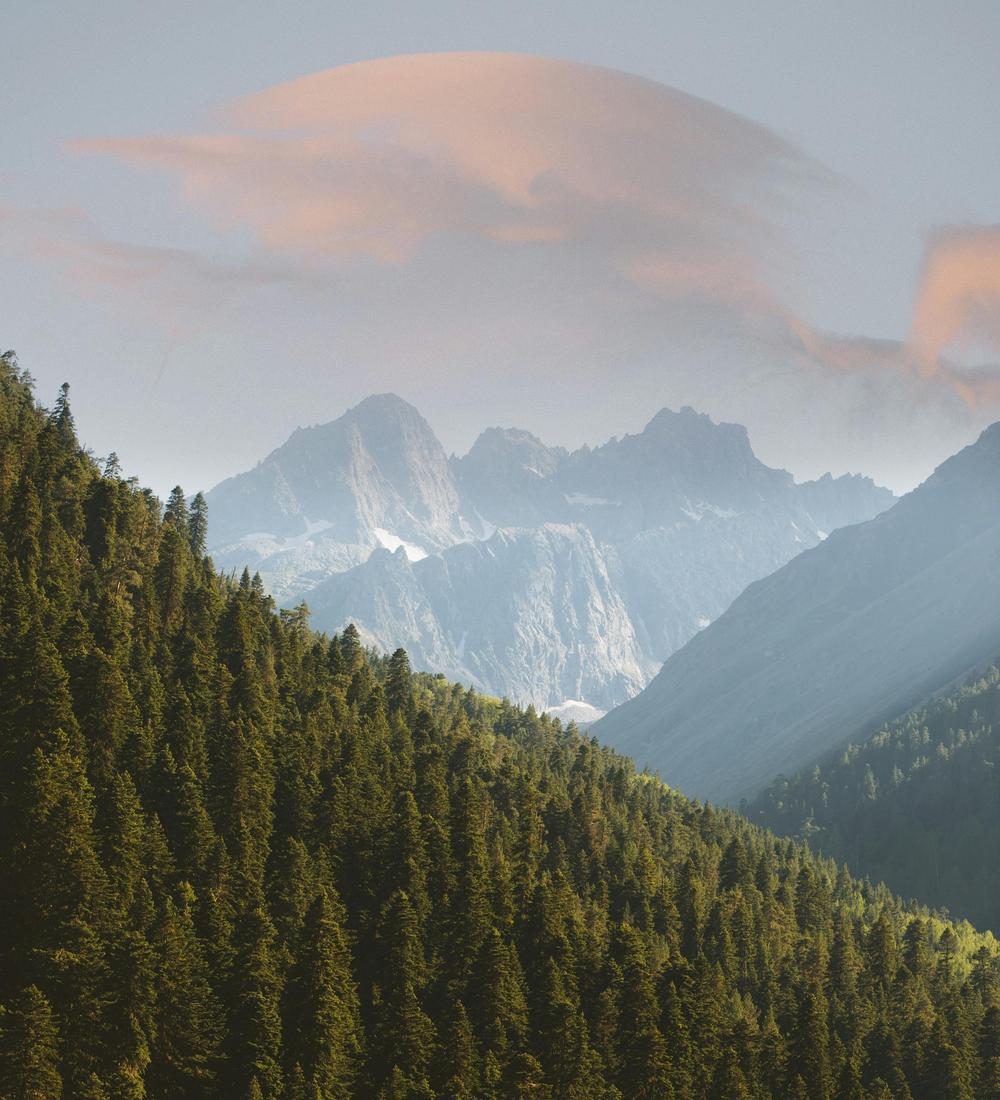 Background for 39 (8 February)