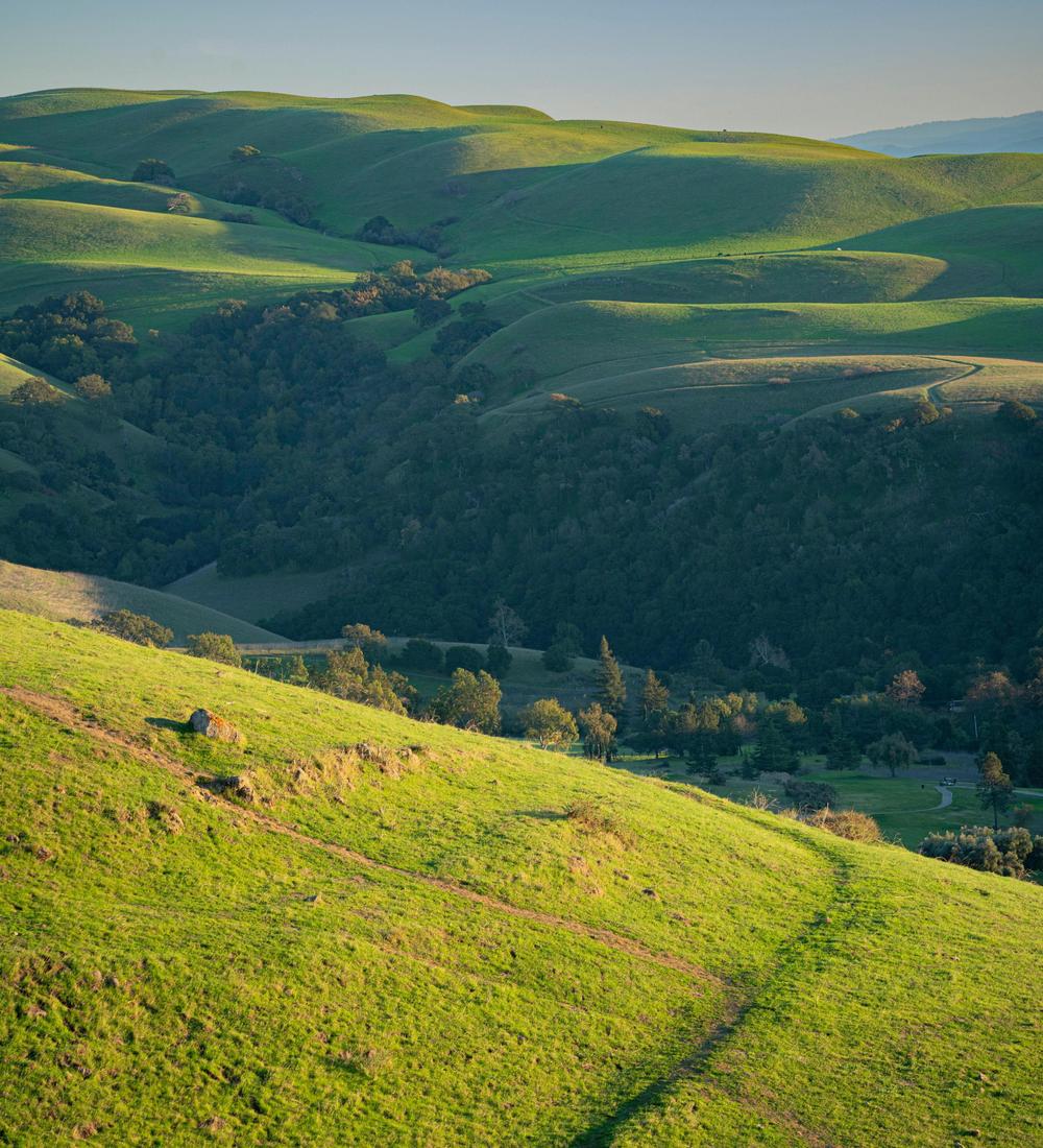 Background for 41 (10 February)