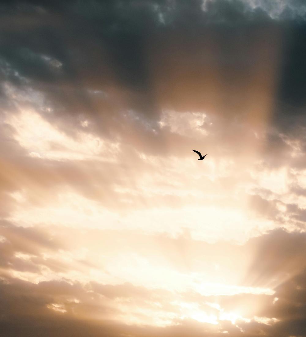 Background for 43 (12 February)