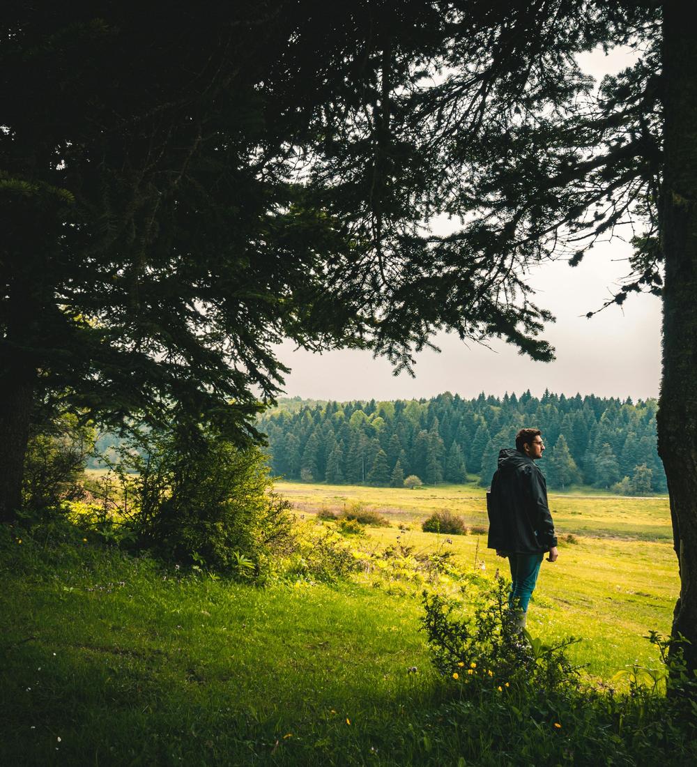 Background for 44 (13 February)