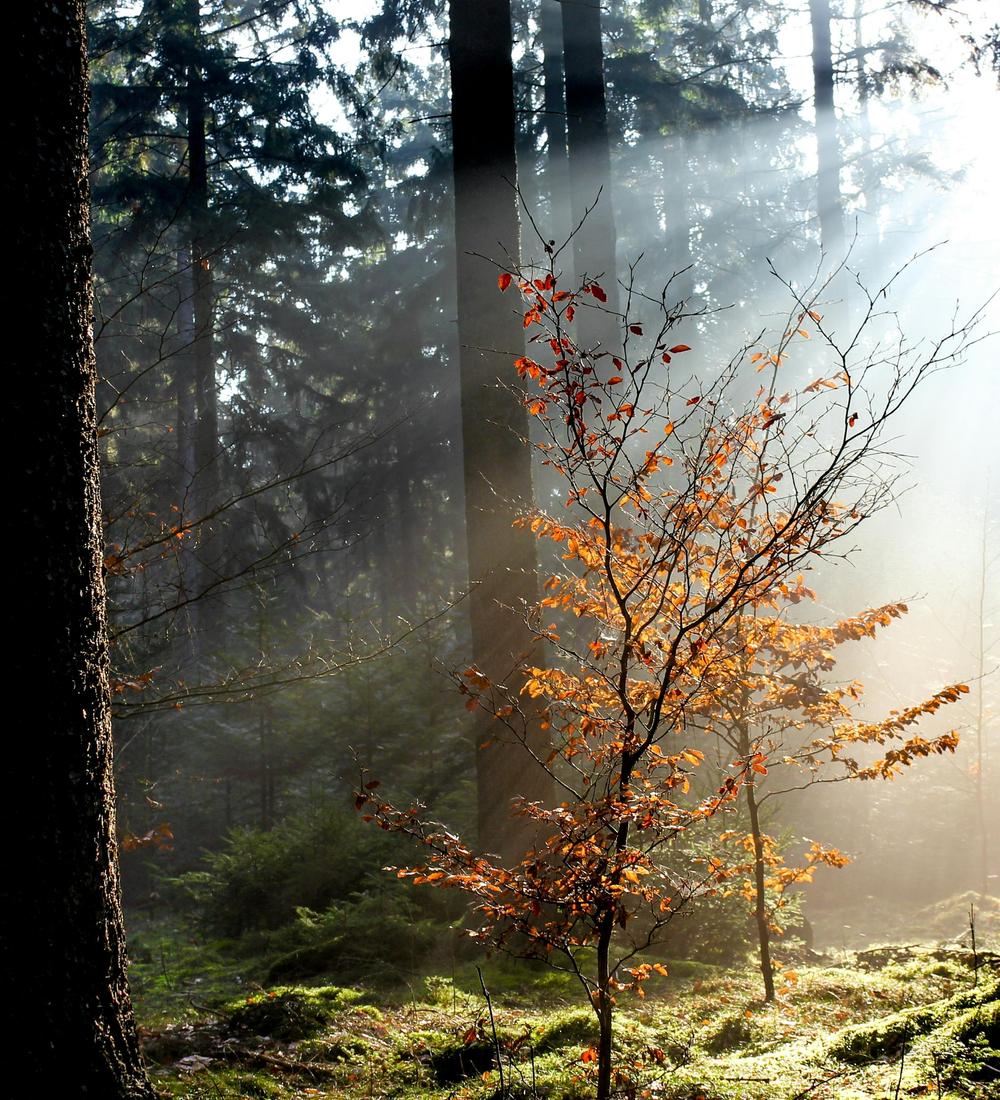 Background for 47 (16 February)