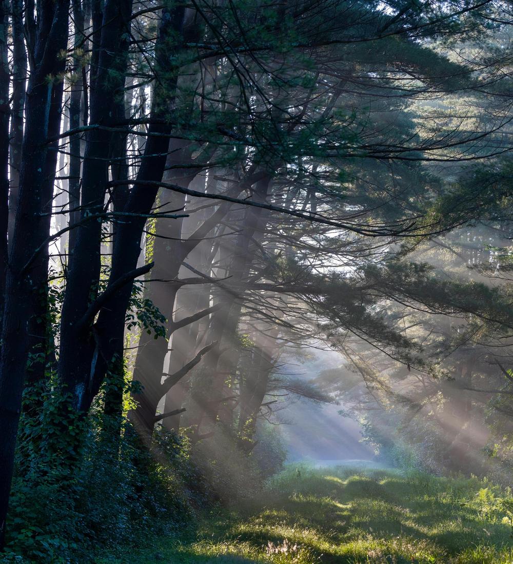 Background for 49 (18 February)