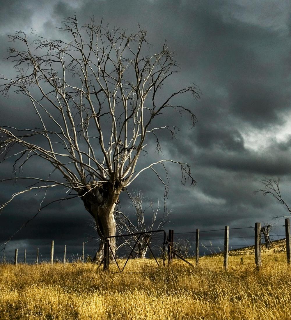 Background for 53 (22 February)