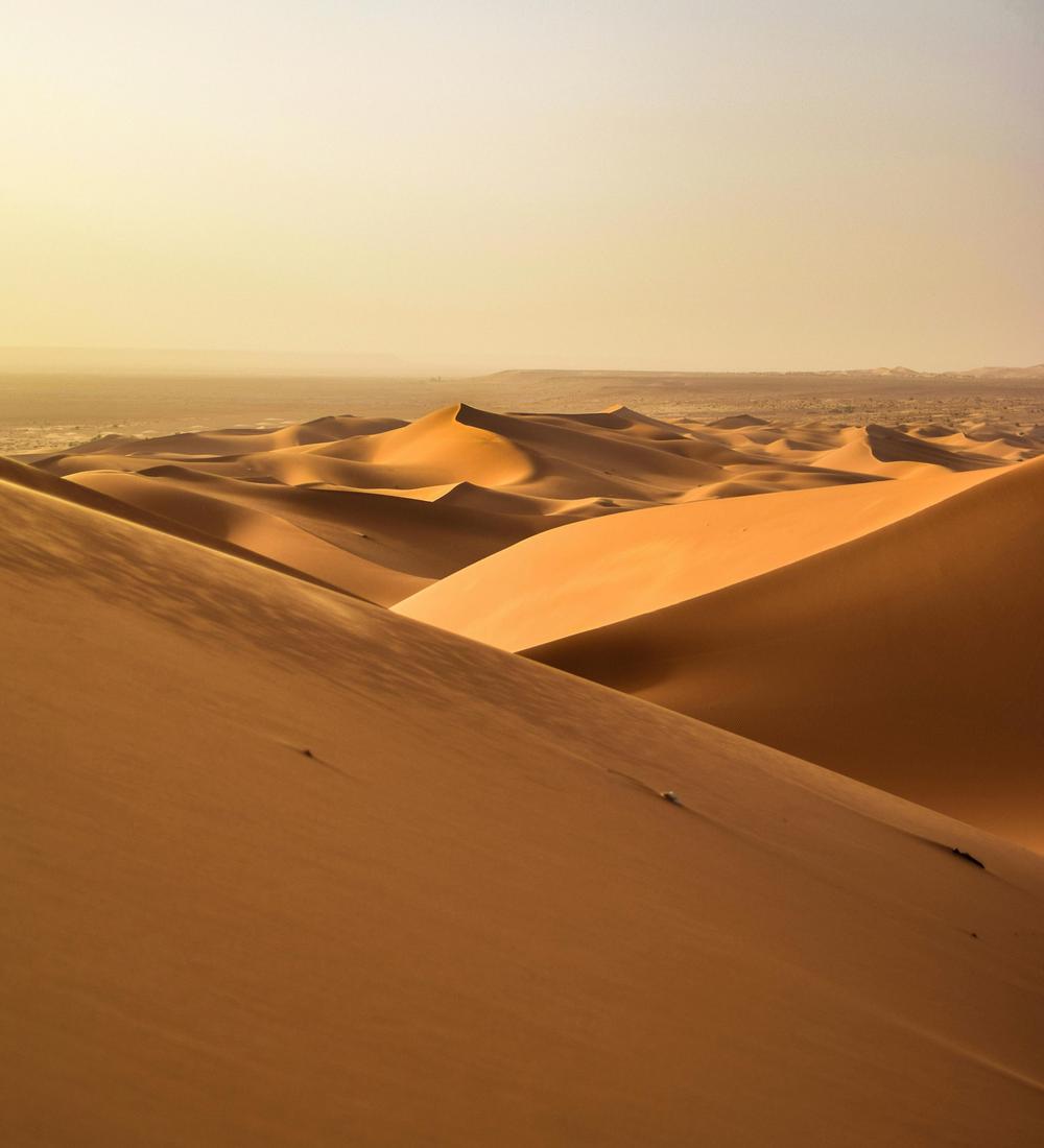 Background for 54 (23 February)