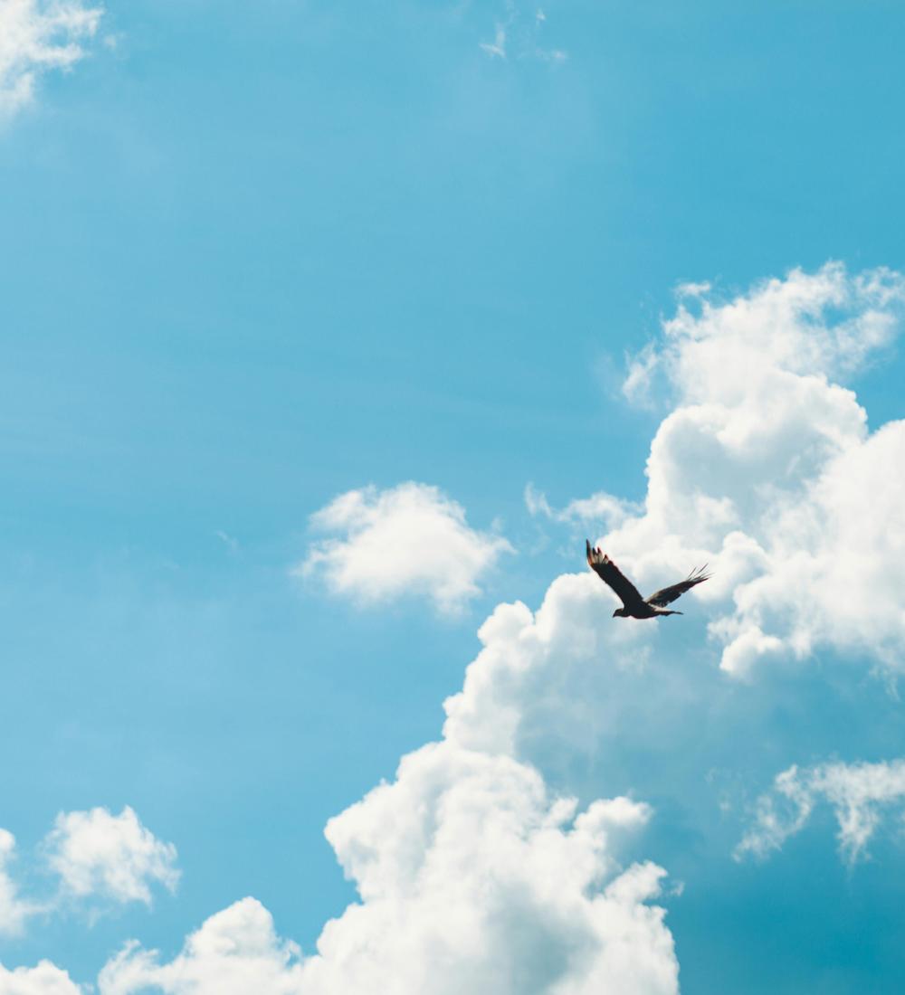 Background for 57 (26 February)