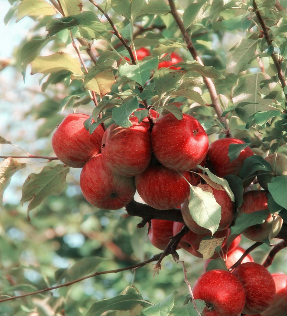 Background for 59 (28 February)