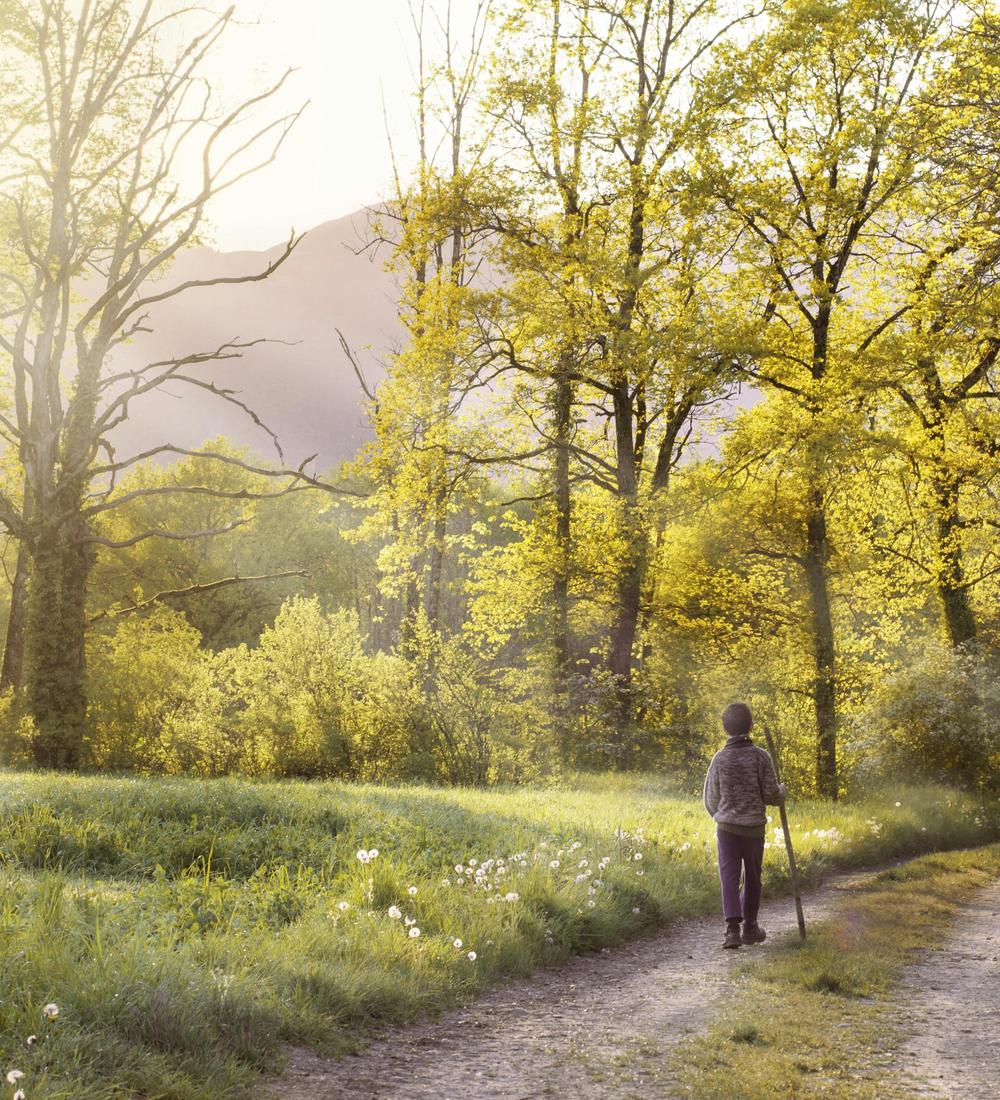 Background for 67 (8 March)