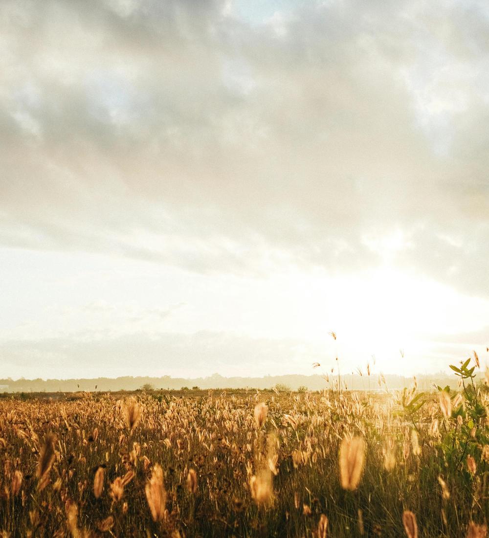 Background for 72 (13 March)