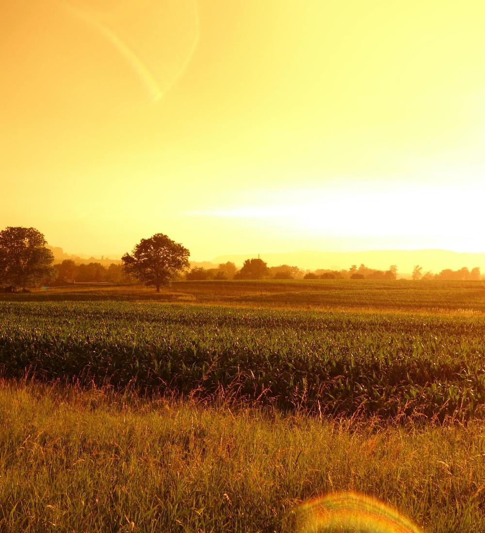 Background for 79 (20 March)