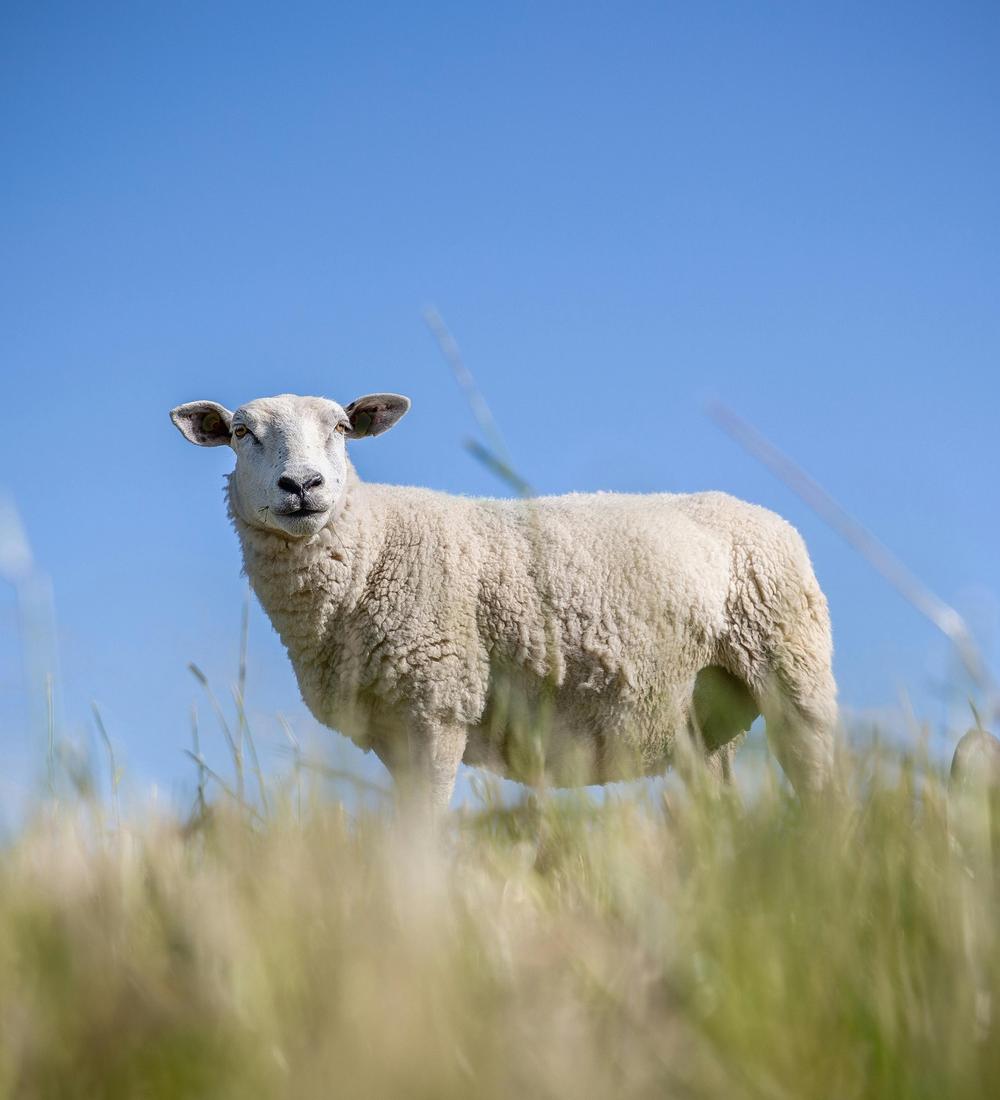 Background for 82 (23 March)