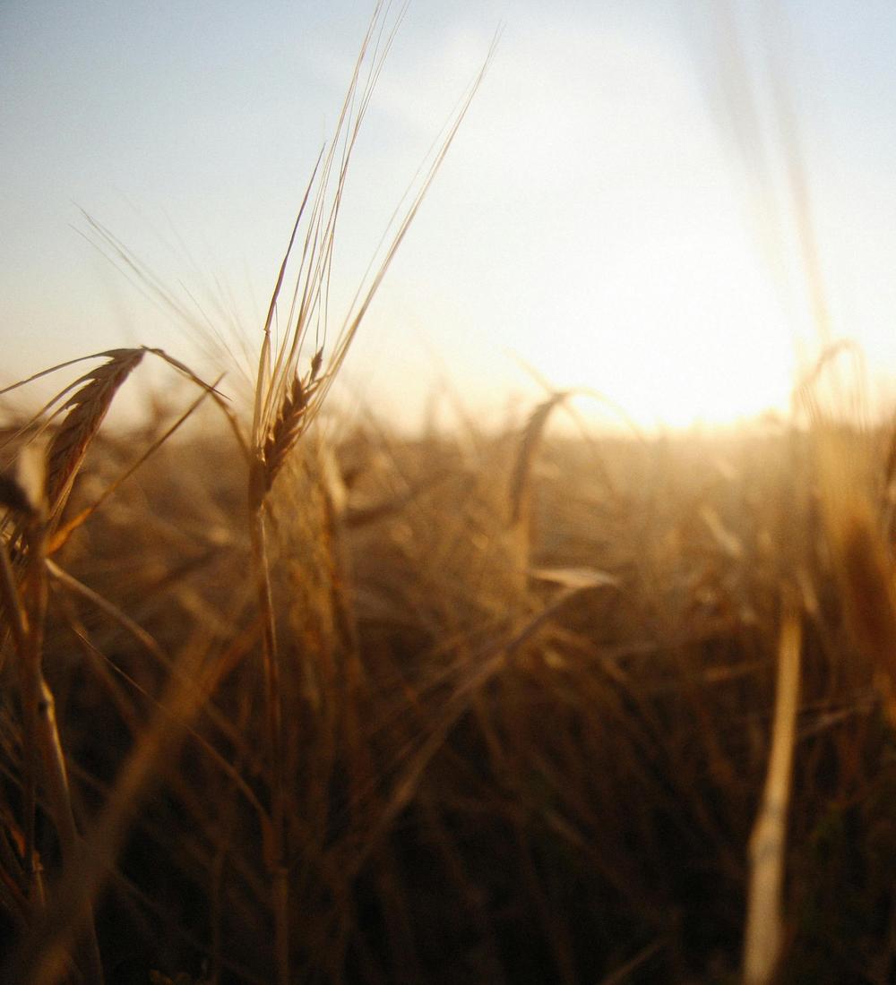 Background for 85 (26 March)