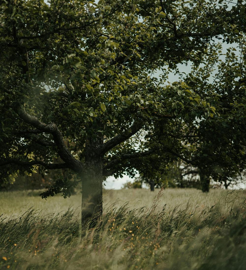 Background for 87 (28 March)