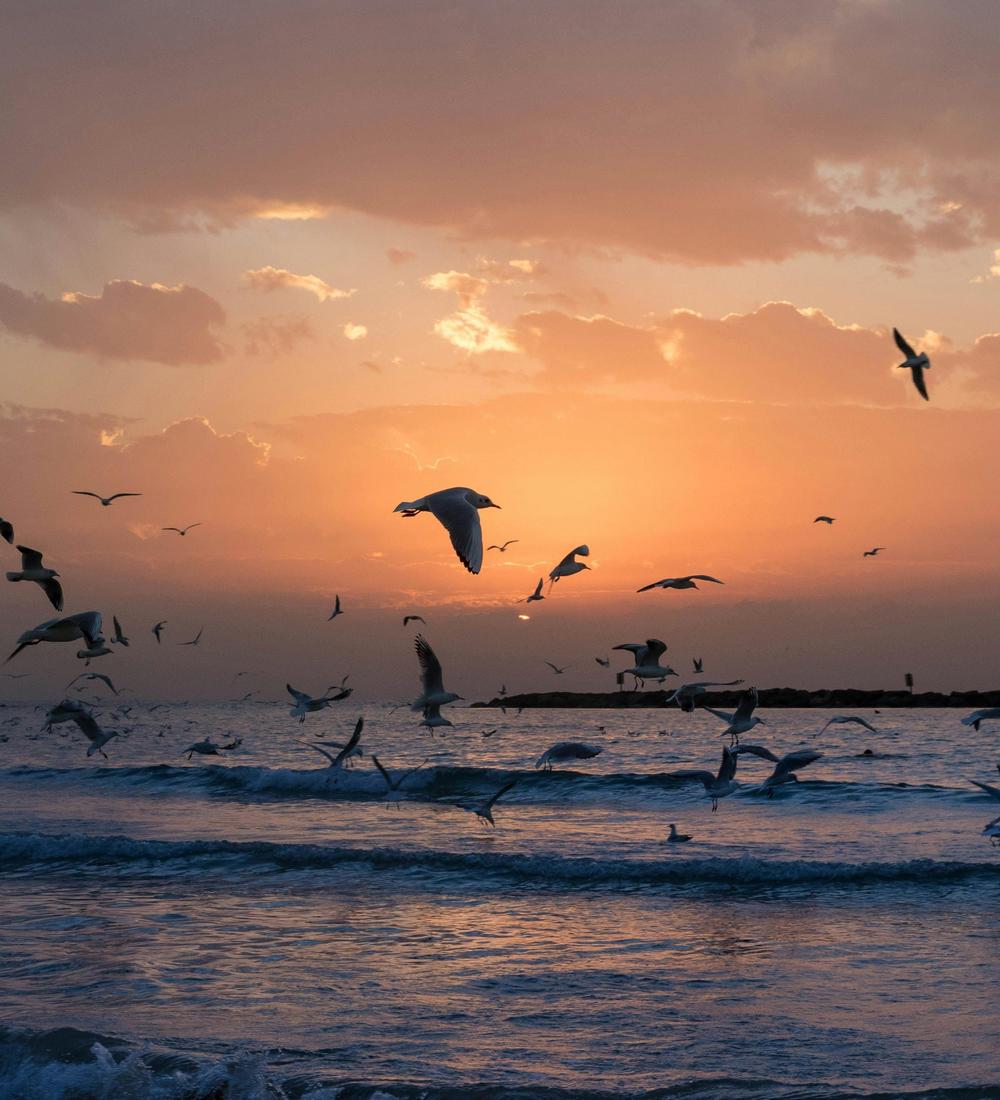 Background for 88 (29 March)