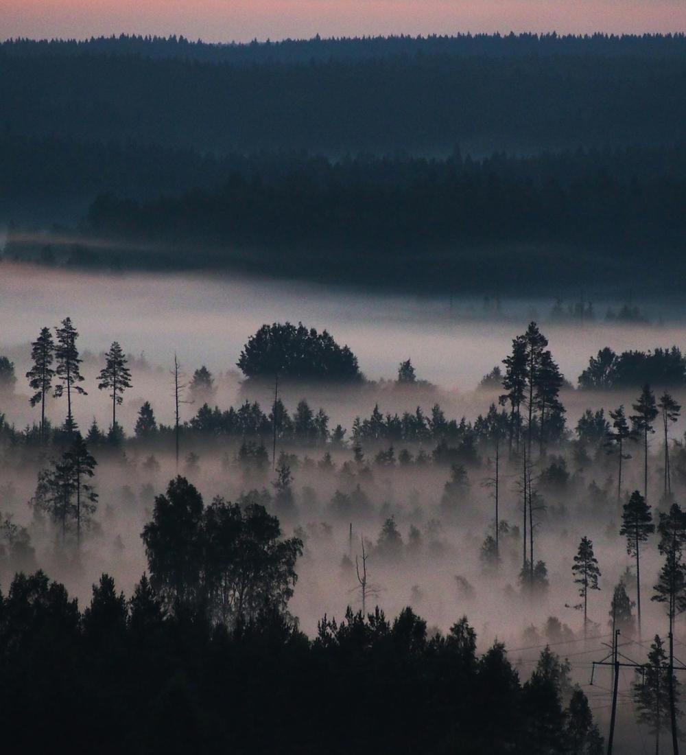 Background for 91 (1 April)