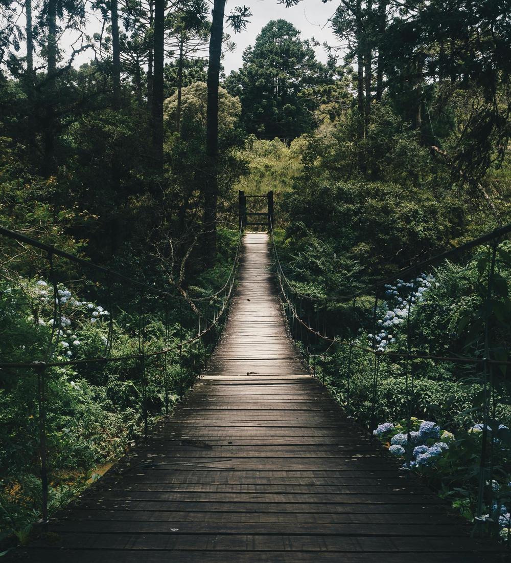 Background for 98 (8 April)