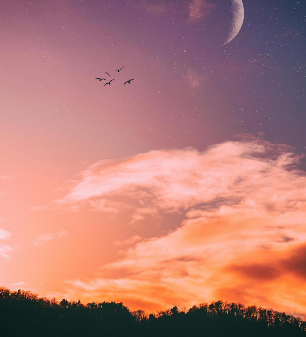 Background for 99 (9 April)