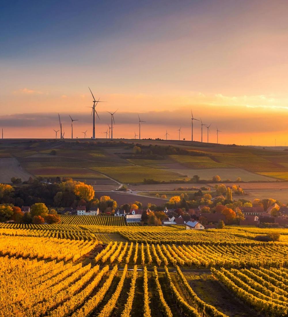 Background for 109 (19 April)