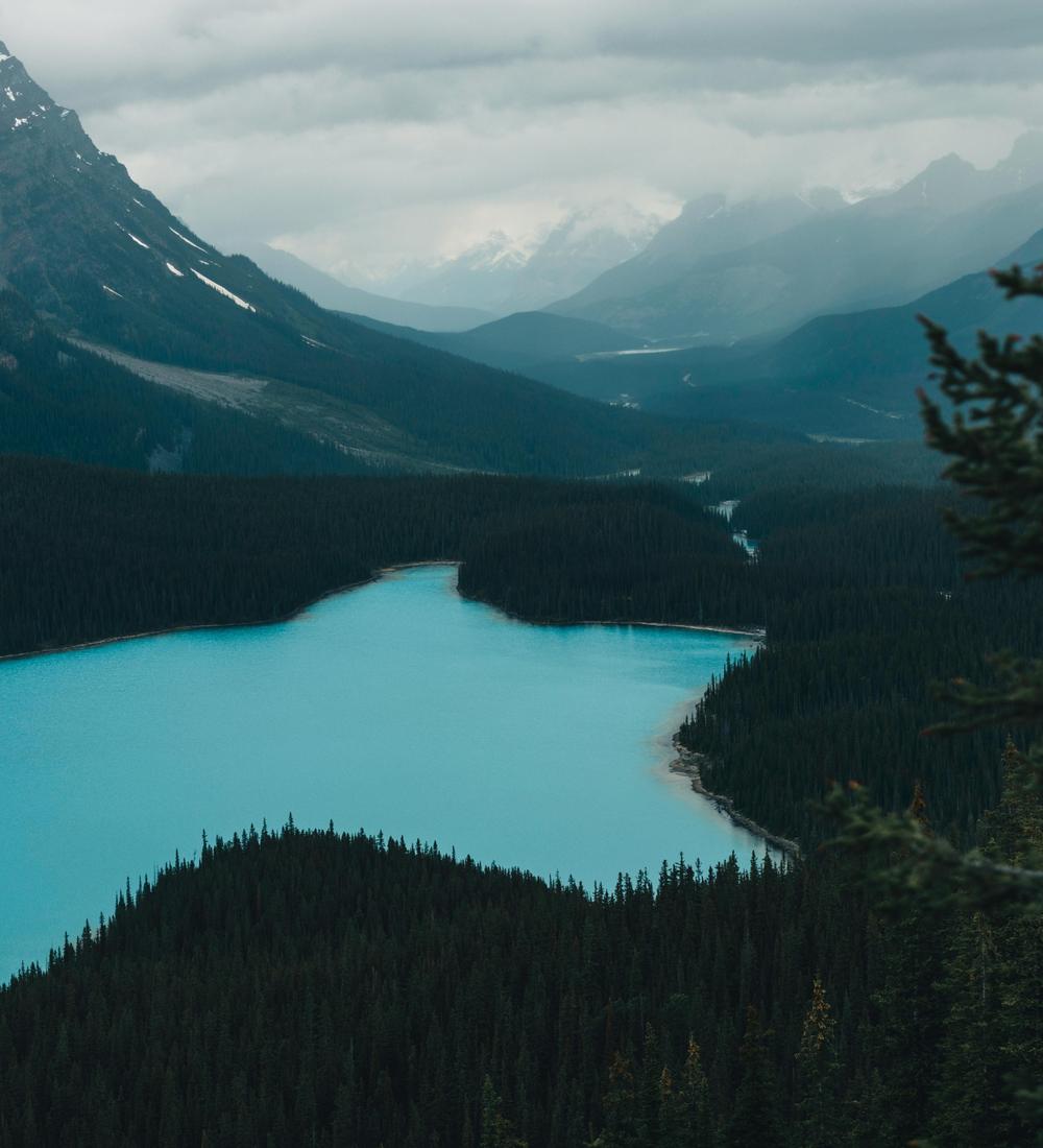 Background for 117 (27 April)