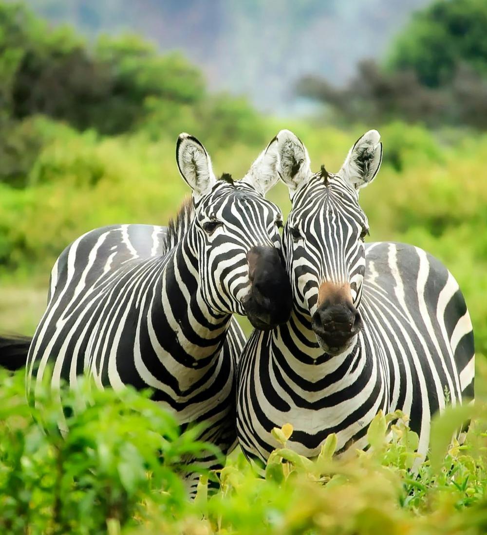 Background for 126 (6 May)